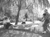 GIUGNO - ANDIAMO SULL'ALTALENA